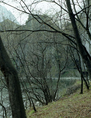 Paesaggio e spazio pubblico