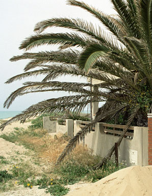 Il paesaggio invisibile
